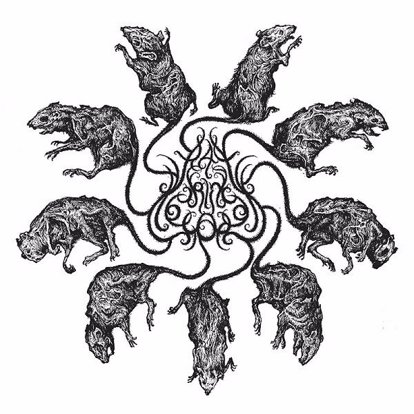 Vậy nên nếu chẳng may tìm thấy vua chuột, khả năng là tất cả phải cùng nhau chung tay tiêu diệt loài vật "ăn tàn phá hại" này trước khi quá muộn.