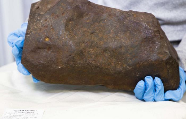 Vì không thể mở được "tảng đá", nhưng David Hole vẫn bị nó hấp dẫn, gây tò mò. Sau đó, người này liền mang tảng đá đến Bảo tàng Melbourne để nhận dạng.