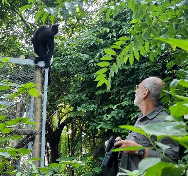 Đây cũng là tín hiệu đáng mừng trong công tác bảo tồn đa dạng sinh học ở khu du lịch sinh thái này, tạo cơ sở để khôi phục, thiết lập ở Di sản Tràng An một quần thể mới về loài linh trưởng đặc hữu như voọc quần đùi trắng.