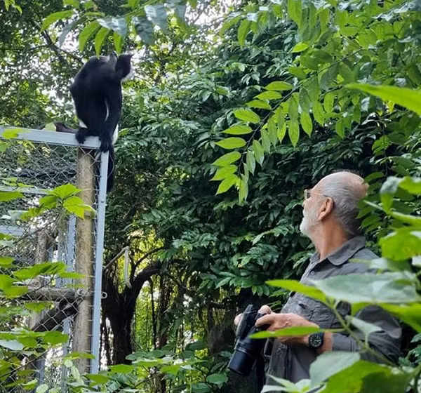Đây cũng là tín hiệu đáng mừng trong công tác bảo tồn đa dạng sinh học ở khu du lịch sinh thái này, tạo cơ sở để khôi phục, thiết lập ở Di sản Tràng An một quần thể mới về loài linh trưởng đặc hữu như voọc quần đùi trắng.