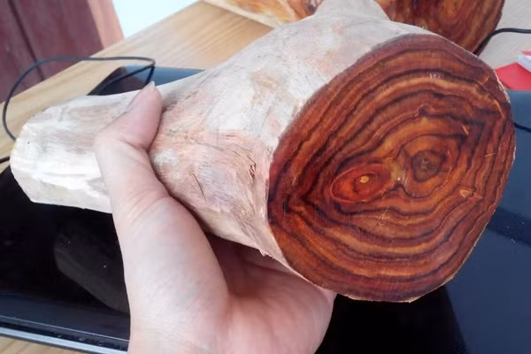 Một trong những đặc điểm thú vị nhất của gỗ sưa chính là mùi thơm. Gỗ sưa có mùi hương nhẹ dịu, và không bay hết mùi dù trong thời gian dài. Tuy nhiên khi đốt gỗ sưa thì tro tàn có màu trắng đục, mùi khá khó chịu và hắc nên còn được gọi là trắc thối.