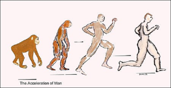 Ngoài các chuỗi đốt sống thắt lưng, nhóm nghiên cứu còn phát hiện một phần quan trọng là vùng đầu gối, mà góc độ xương đùi nối với đầu gối cho thấy Issa đứng thẳng.