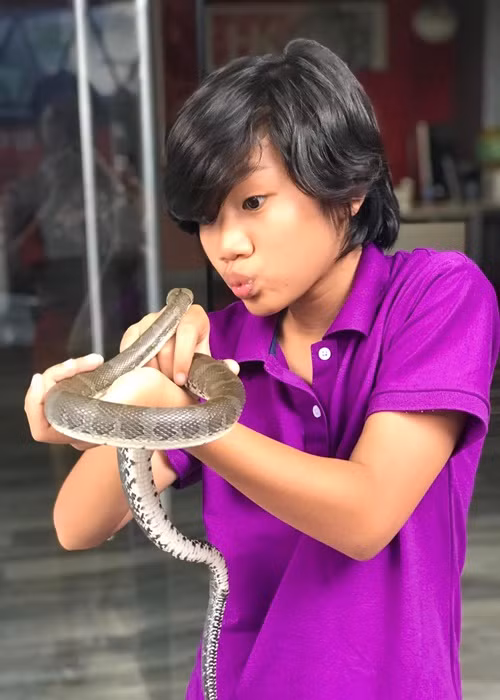 Con trai Kiều Trinh quen với những chú rắn của đoàn phim.