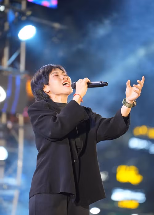 Phương Anh hiện tại vẫn ca hát. Tuy nhiên, đến nay, sự nghiệp của cô chưa tạo dấu ấn.