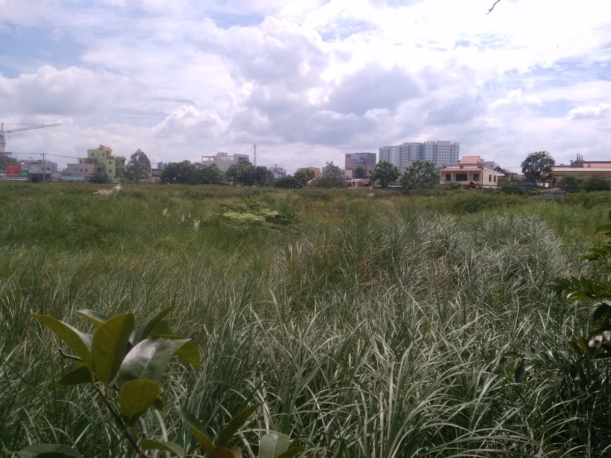 TP HCM dieu chinh, huy bo 180 du an treo-Hinh-2