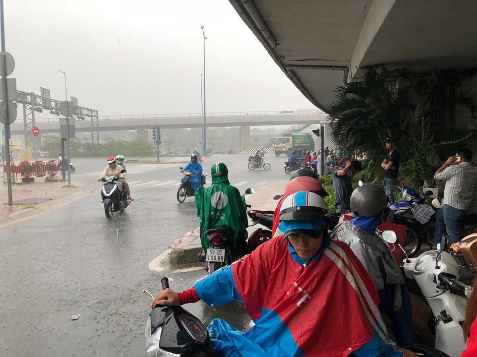 TP HCM bat ngo do mua tam ta gan ngay Giang Sinh-Hinh-5