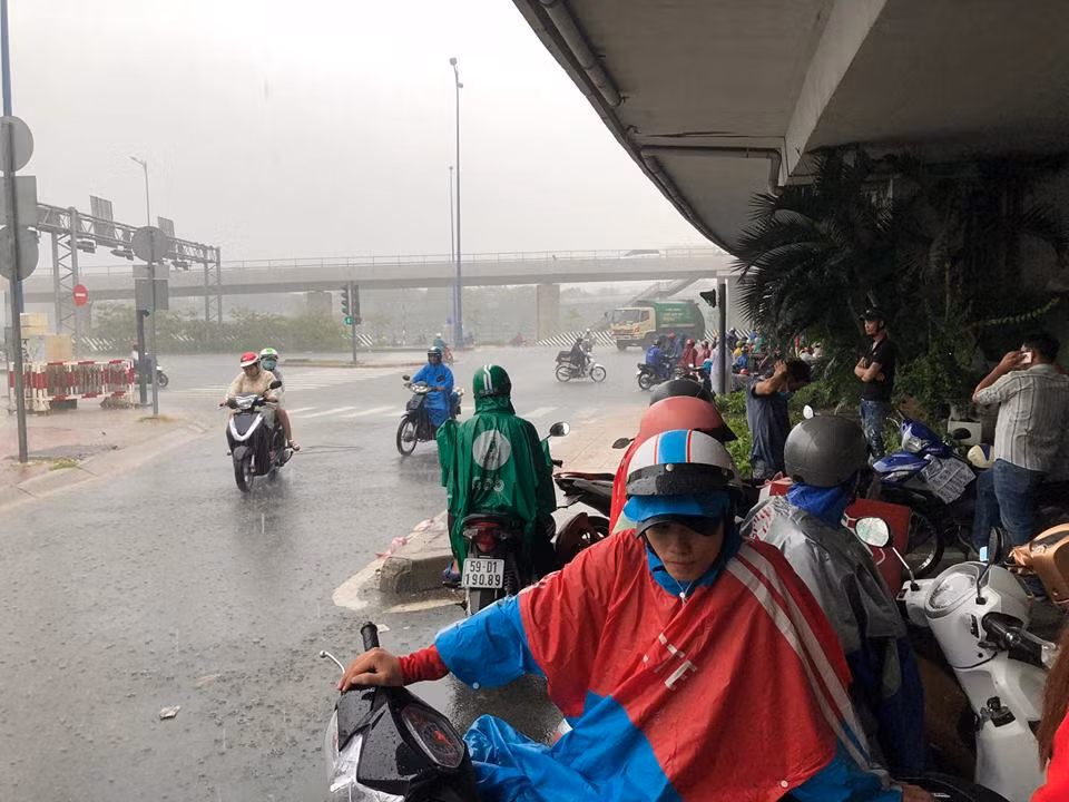 TP HCM bat ngo do mua tam ta gan ngay Giang Sinh-Hinh-5