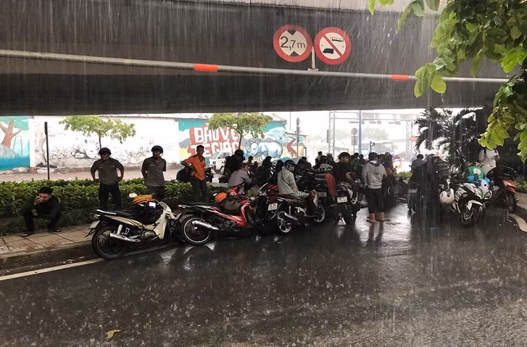 TP HCM bat ngo do mua tam ta gan ngay Giang Sinh-Hinh-6