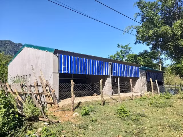 Theo thiết kế xây dựng, mỗi chuồng nuôi có kích thước 4,5 x 6,69m, chiều cao tường 2,7m. Trước và sau chuồng bò đều có hệ thống bạt cuốn che lạnh vào mùa đông, nền nhà bê tông, phía trước là hành lang và máng đựng thức ăn, mái lợp tôn.