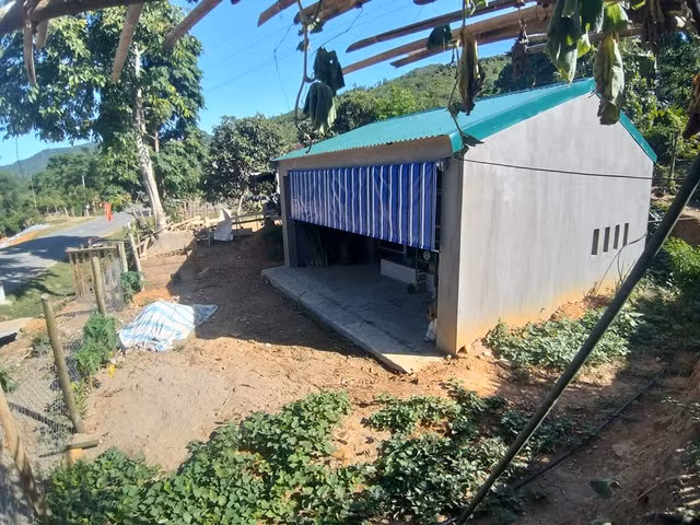 Sau khi chuồng bò được xây dựng và đưa vào sử dụng đã tạo ra nhiều ý kiến trái chiều. Đa số cho rằng việc xây dựng chuồng bò đắt là quá lãng phí, không phù hợp. Trong khi đó, người dân trên địa bàn này đang ở nhà tranh tre vách nứa, chưa được xây dựng kiên cố thì chuồng bò được xây dựng đẹp hơn chẳng khác nào bò lại được xây "biệt thự" để ở. (Ảnh: Dân Trí).