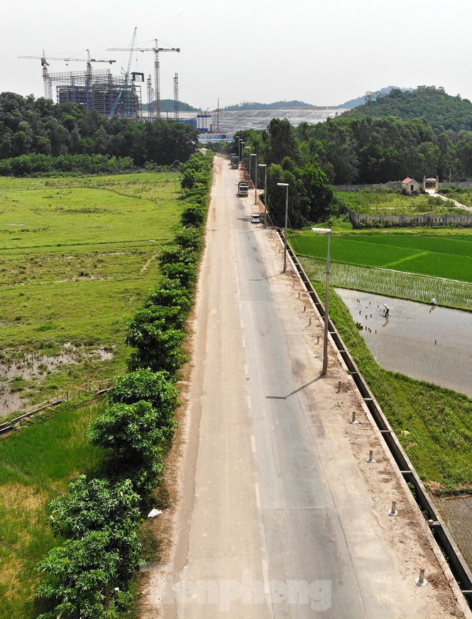 Tuy nhiên, cây hoa sữa được trồng và chăm sóc kỹ càng, giờ hàng cây này đã sống và kịp thời trổ hoa trong mùa hoa đầu tiên tại đây.