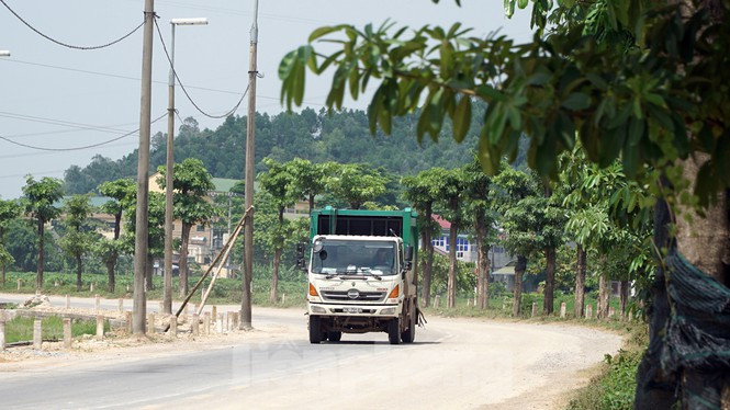 Vào thời điểm hàng cây được di dời lên bãi rác Nam Sơn là vào ngày 17/7/2019, nhiều người dân đã tỏ ra tiếc nuối cũng như hoài nghi về việc loạt cây này sẽ đi đâu và liệu cây trồng ở nơi mới có sống được không?