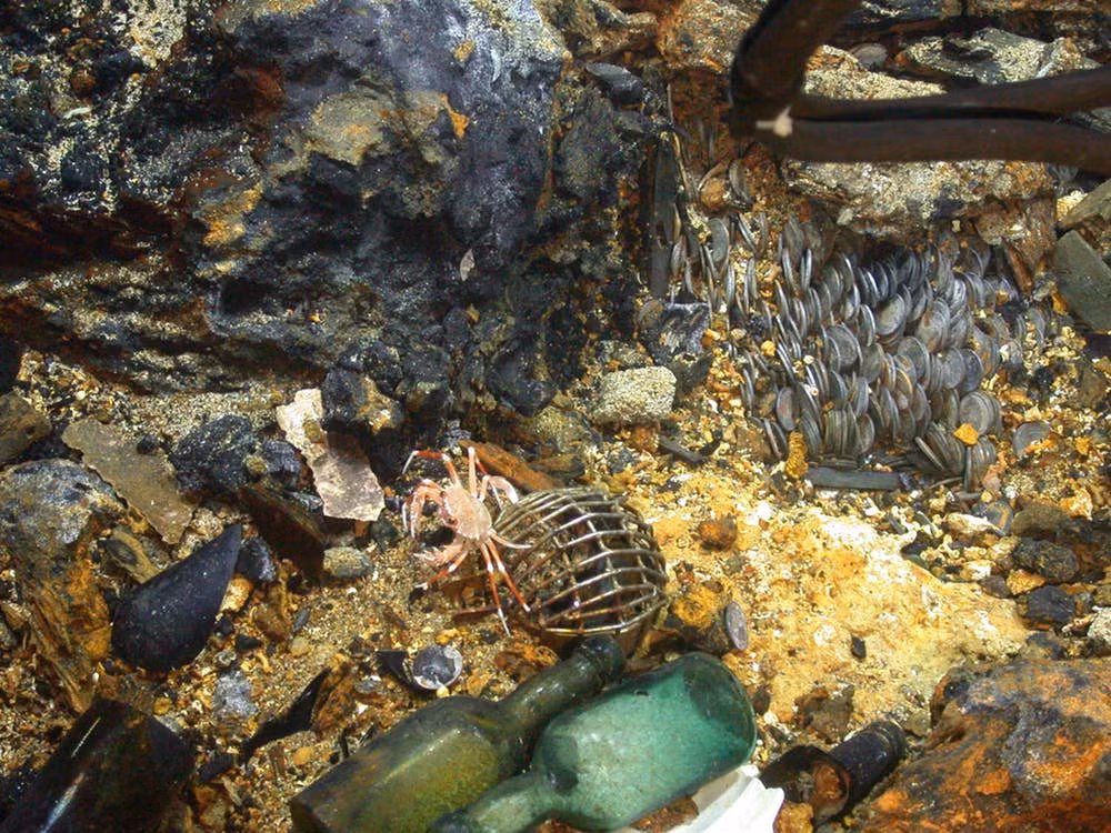 Tàu SS Republic bị chìm trong cơn bão năm 1865 ở ngoài vùng biển bang Georgia, Mỹ. Vào năm 2003, người ta tìm thấy xác tàu đắm này cùng với kho báu trị giá 120-180 triệu USD (2.666 - 4.000 tỉ đồng).