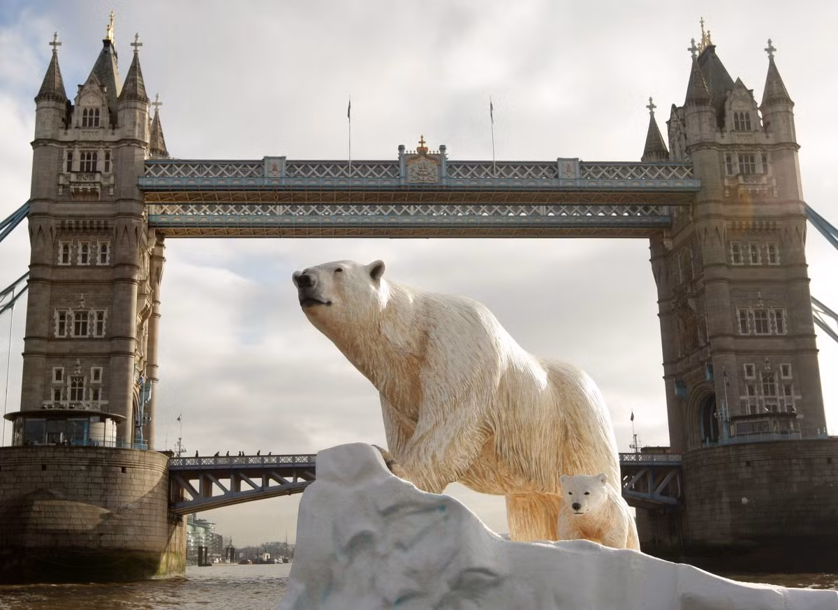 Cụ thể, quá trình axit hóa đại dương sẽ ảnh hưởng tới sự sinh sản, tồn tại và nguồn thức ăn của ấu trùng cũng như tốc độ sinh trưởng của sinh vật biển, đặc biệt là các loài có lớp vỏ ngoài đá vôi (canxi cacbonat).