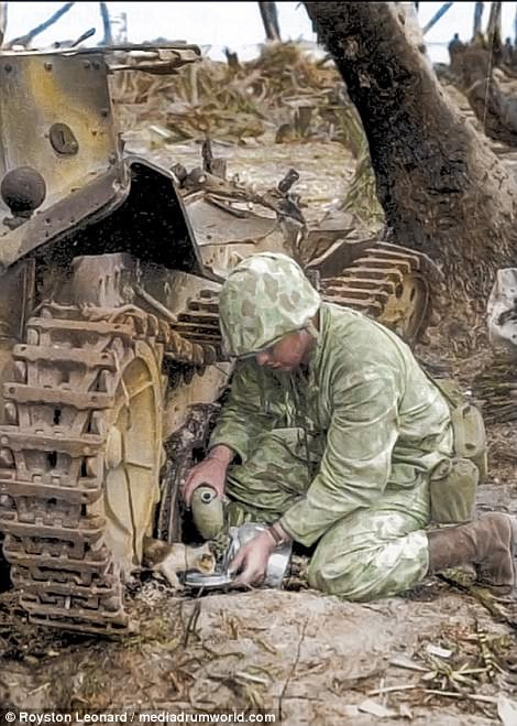 Một lính Mỹ cho con mèo nhỏ uống nước.