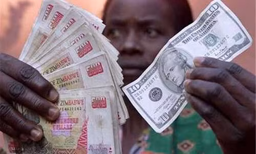 Hiện Zimbabwe sử dụng nhiều ngoại tệ khác nhau để thanh toán như đôla Mỹ, rand Nam Phi, euro...