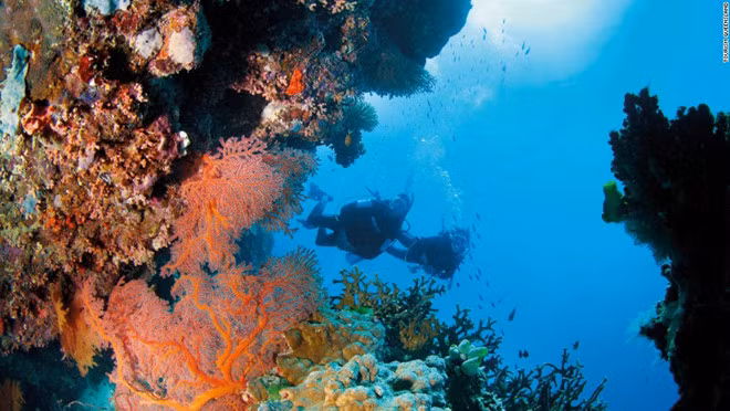 Great Barrier Reef ở Australia được UNESCO công nhận là di sản thế giới năm 1981. Đây chính là rạn san hô lớn nhất thế giới khi bao phủ một vùng với diện tích lên đến 380.000 km2.