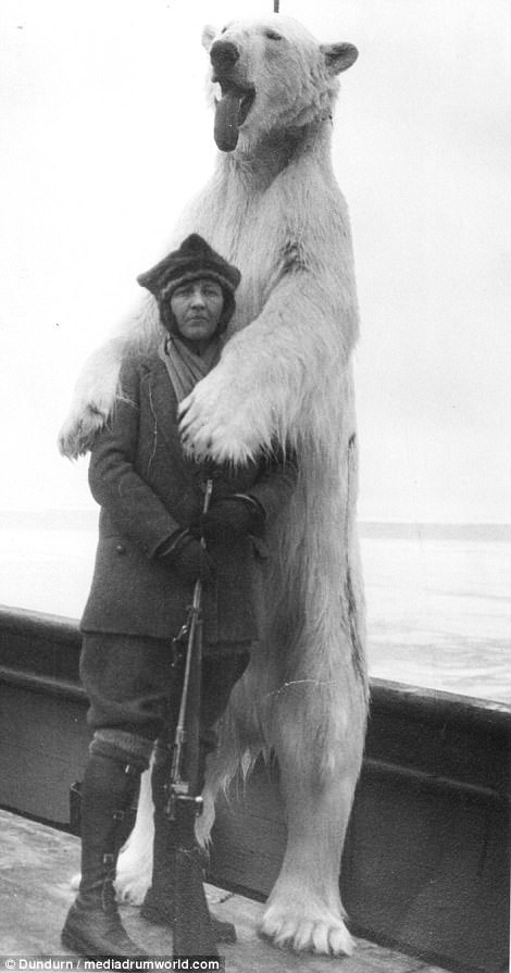 Thay vì tận hưởng cuộc sống giàu sang trong nhung lụa từ số tài sản thừa kế, Louise Arner Boyd đã thực hiện một số chuyến thám hiểm đến những vùng xa xôi nhất thế giới, trong đó có Greenland, Spitsbergen...