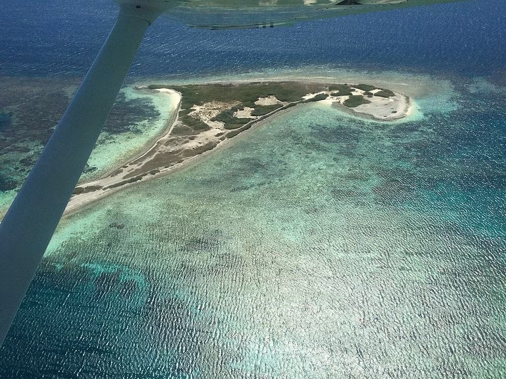 3 tháng sau khi con tàu gặp nạn, người thuyền trưởng tàu Batavia trở lại cùng nhóm cứu hộ đã phát hiện sự thật khủng khiếp trên và quyết định trừng phạt những kẻ nổi loạn gây ra tội ác man rợ trên.