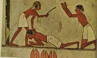 Nô lệ phục vụ các pharaoh cùng gia đình hoàng tộc, tầng lớp quý tộc hay làm các công việc nặng nhọc như khai thác mỏ hoặc phục vụ trong các đền thờ. Họ phải phục tùng mọi mệnh lệnh, làm hài lòng chủ nhân. Nếu nô lệ khiến chủ nhân tức giận thì có thể bị đánh đập, bị đem bán, thậm chí là giết chết.