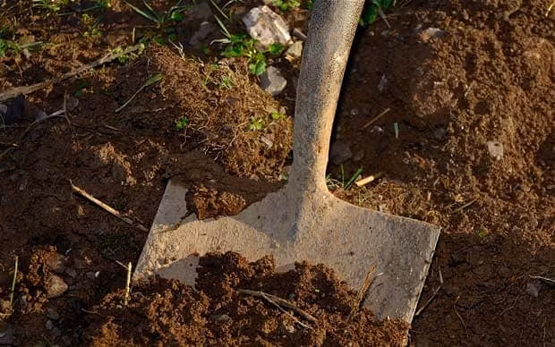 Trong trường hợp người được thông báo đã chết vẫn còn sống sẽ có thể rung chuông để mọi người xung quanh biết họ còn sống để tới giúp, tránh bị chôn sống.