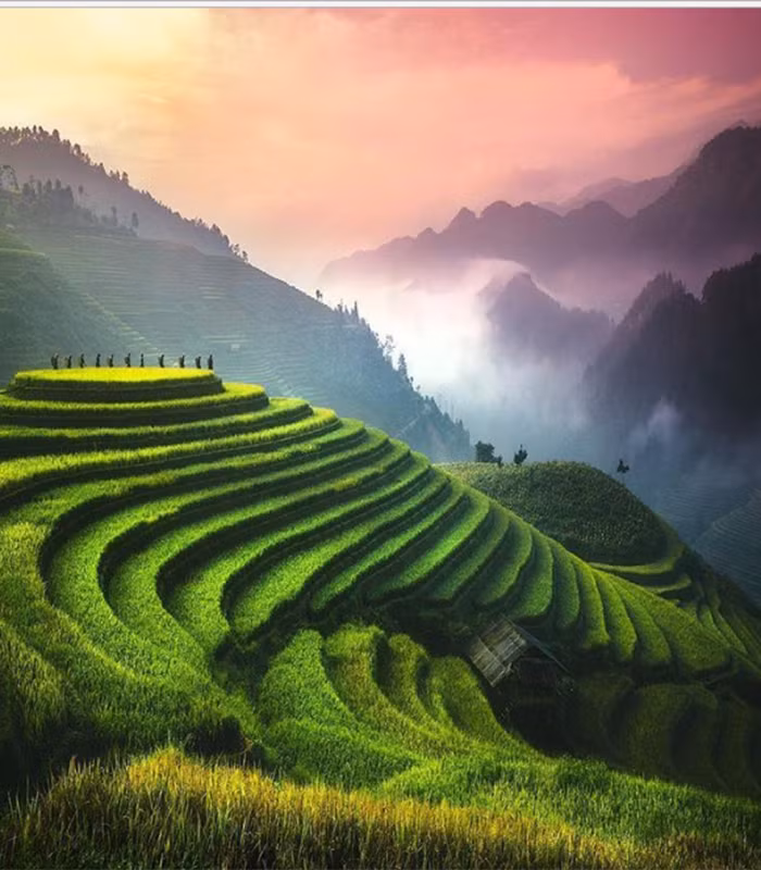 Trong danh sách những điểm đến nên đến 1 lần trong đời, Bright Side ca ngợi ruộng bậc thang của Việt Nam. Nơi đây được đánh giá là một điểm đến tuyệt đẹp trên thế giới mà du khách nên ghé thăm.