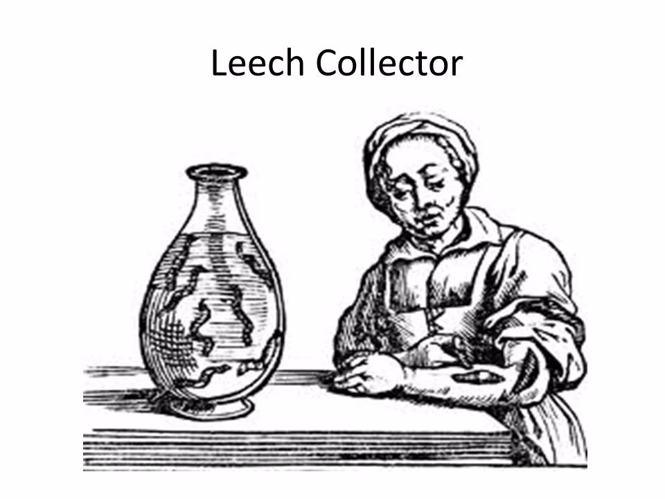 Theo quan niệm của người xưa, với việc sử dụng đỉa hút máu độc, máu trong cơ thể người bệnh sẽ được lưu thông và vết thương mau lành hơn.