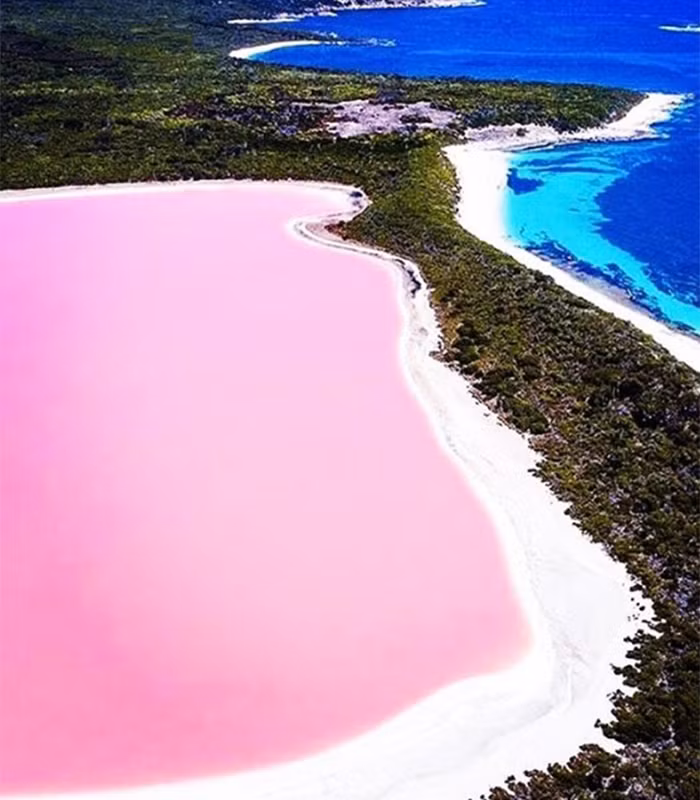 Hồ Hillier tuyệt đẹp ở Australia nổi tiếng thế giới là một trong những hồ nước màu hồng hiếm gặp nhất.