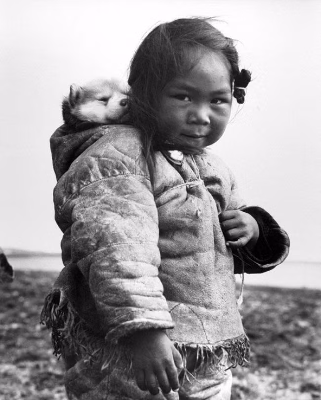 Bé gái người Inuit cõng trên lưng một chú chó nhỏ năm 1949.