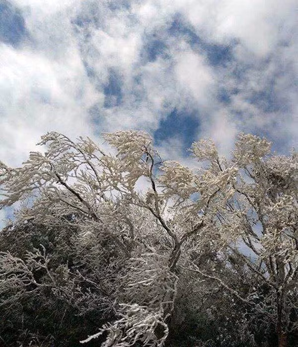 Hiện tượng băng tuyết trên được lý giải do ảnh hưởng của không khí lạnh tăng cường khiến nhiệt độ giảm sâu xuống dưới 0 độ C.