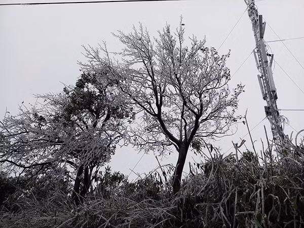 Theo dự báo của cơ quan khí tượng không khí lạnh tại một số nơi như vùng núi sẽ còn giảm sâu, gây rét hại.