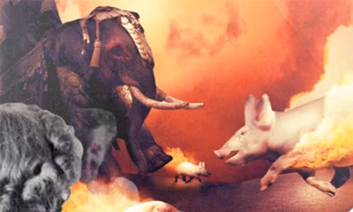 Vào thời cổ đại, con người sử dụng những con lợn như một loại vũ khí trong chiến tranh. Cụ thể, người La Mã cổ đại sử dụng tiếng kêu ré của con lợn khiến đàn voi chiến của quân địch hoảng loạn, mất kiểm soát.