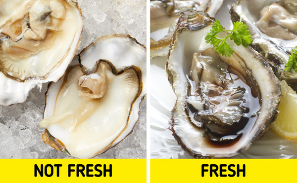 Hàu. Để phân biệt hàu mới đánh bắt với loại để lâu, bạn nên quan sát màu sắc và mùi của chúng. Hàu tươi sẽ có phần thịt đầy đặn, màu trắng bóng. Ngược lại, hàu để lâu phần thịt xọp nước, màu vẩn đục, mùi tanh nồng.