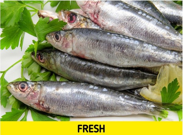 Cá tươi sẽ có mùi tanh nhẹ đặc trưng, có thể tự lộ mang, mang màu đỏ hoặc hồng. Trong khi đó, cá chết lâu thường có mùi tanh nồng khó chịu, mang nhợt nhạt. Khi mua về, cá tươi nên ăn càng sớm càng tốt, cá đông lạnh có thể bảo quản trong tủ đông trong vòng 3 tháng.