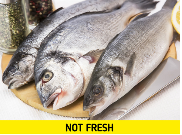 Cá. Khi mua sắm ở chợ dân sinh, mọi người nên chọn cá vẫn còn sống là tốt nhất. Trường hợp mua cá cắt khúc hoặc cá đông lạnh, bạn cần chú ý mùi, màu sắc tự nhiên của chúng. (Ảnh: BS, minh họa)