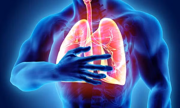 Người mắc bệnh phổi nên nằm ngửa, kê cao gối để giữ đường thở được thông thoáng. Trong khi đó, người bị hen suyễn không nên nằm ngửa khi lên cơn hen. Nên duy trì tư thế nửa nằm nghiêng để tránh khó thở.