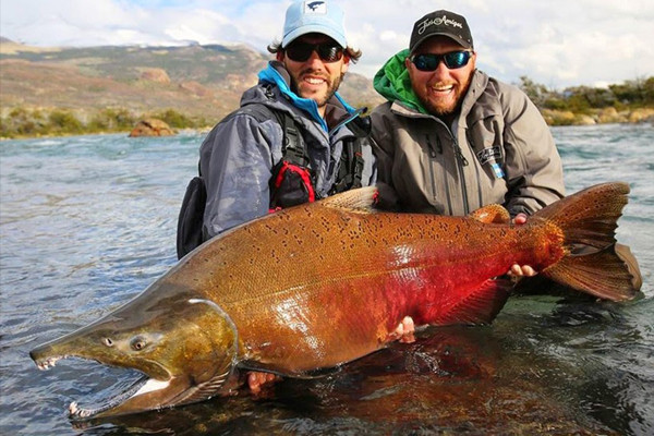 Ngoài ra, chị em cần quan tâm đến kích cỡ của cá. Nên chọn cá vừa đủ tuổi trưởng thành, kích cỡ trung bình. Cá có kích thước lớn nhìn hấp dẫn song có thể chứa nhiều hormone tăng trưởng. Những loại cá ăn thịt lớn cũng cần thận trọng bởi chúng thường ở vị trí cao trong chuỗi thức ăn. Ăn tạp khiến chúng tích tụ nhiều độc tố, chất ô nhiễm trong cơ thể.