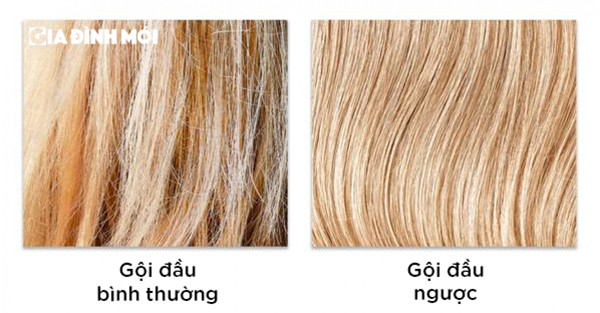 Một lợi ích nổi bật khác của gội đầu ngược liên quan đến quá trình hydrat hóa. Dưỡng chất trong dầu xả sẽ giúp tóc phục hồi, khỏe hơn trước khi được làm sạch. Nhờ vậy, bạn sẽ giảm bớt được đáng kể tình trạng xơ rối, rụng tóc. (Ảnh: Giadinhmoi)