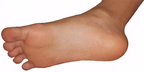 Theo Trung y, chăm sóc bàn chân và quan sát những dấu hiệu ở bộ phận này cách để kiểm tra sức khỏe và đoán biết tuổi thọ. Nếu bạn đang có một hoặc cả 3 dấu hiệu trường thọ dưới đây thì xin chúc mừng. Ngược lại, bạn nên chú ý tăng cường sức khỏe để ngăn ngừa bệnh tật.