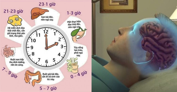 Để có lợi cho sức khỏe, chuyên gia khuyến nghị nên làm những việc dưới đây trong khung giờ Hải Thạch, cụ thể: