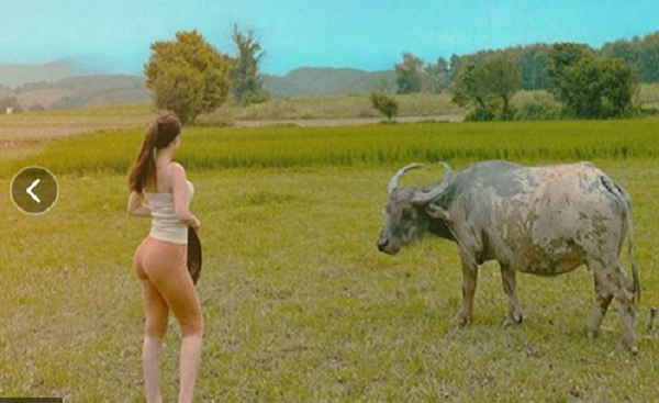 Thực tế, thế giới có ngày “Quốc tế khỏa thân làm vườn" (World Naked Gardening Day). Ngày này diễn ra vào thứ 7 đầu tiên của tháng 5, với mục đích nâng cao nhận thức của con người về môi trường. Người tham gia sẽ có cảm nhận của riêng mình, không nhất thiết phải chụp hình đăng lên mạng xã hội. Trường hợp cố tình ăn mặc phản cảm để thu hút sự chú ý, hầu hết đều không nhận được sự đồng tình.