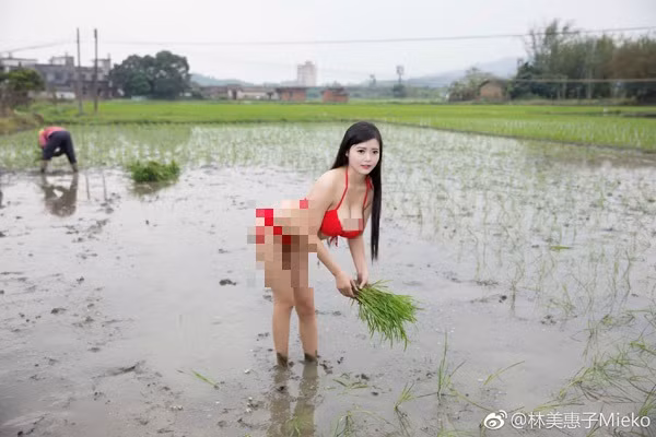 Mỹ nhân Trung Quốc này khiến người nhìn khó hiểu khi diện nguyên bộ bikini đỏ ra đồng cấy lúa. Nhiều người nhận xét bộ đồ ngoài tác dụng thu hút sự chú ý, hoàn toàn không phù hợp với công việc đồng áng lẫn che chắn cơ thể giữa chốn đông người.
