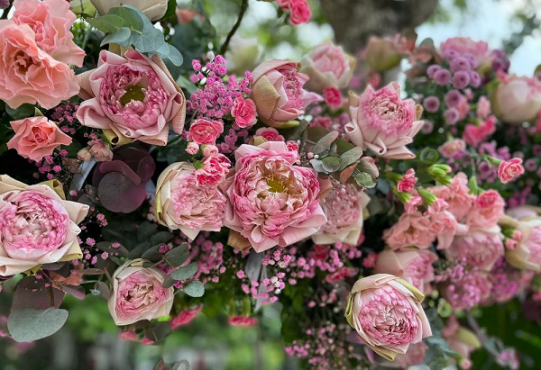 Điều đặc biệt hơn nữa là mọi người có thể rút những bông hoa sen trong trái tim sen này để đem về trang trí hay tặng cho những người thân, đặc biệt là ba mẹ của mình.