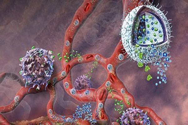 Chúng ta đang bị bao quanh bởi hàng tá độc tố từ không khí, thực phẩm, đồ dùng... Các nhà khoa học đã dốc sức nghiên cứu và kiểm tra nhiều thói quen của con người hiện đại mới phát hiện, thói quen ăn nhiều thịt rõ ràng cũng là nhân tố không nhỏ gây ra các bệnh ung thư.