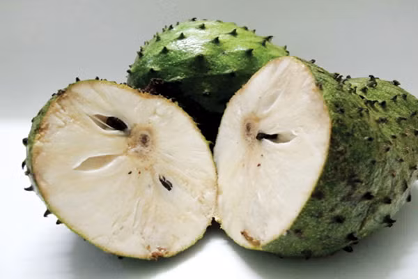 Hơn 20 bài kiểm tra trong phòng thí nghiệm đã khẳng định khả năng chống ung thư của mãng cầu xiêm. Các xét nghiệm tiết lộ, loại quả này giết chết tế bào của 12 loại ung thư gồm tuyến tụy, ung thư phổi, ung thư vú, ung thư ruột kết... Hợp chất chống ung thư mạnh gấp 10.000 lần so với thuốc hóa trị adriamycin.