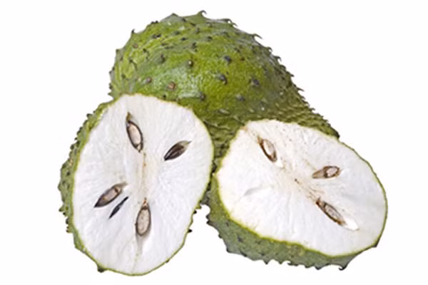 Thuốc hóa trị ảnh hưởng tiêu cực đến hệ thống tiêu hóa của bệnh nhân. Lúc này, mãng cầu xiêm sẽ có nhiệm vụ cải thiện đường ruột, giải trừ khó tiêu và táo bón. Nếu thuốc hóa trị làm suy yếu hệ miễn dịch, nó này sẽ để vitamin C hỗ trợ hệ thống miễn dịch mạnh hơn và làm giảm nguy cơ nhiễm trùng đường tiết niệu, lạnh và ho. Trong trường hợp, thuốc hóa trị làm giảm tế bào máu và tiểu cầu thì mãng cầu xiêm sẽ khôi phục chúng trở lại.