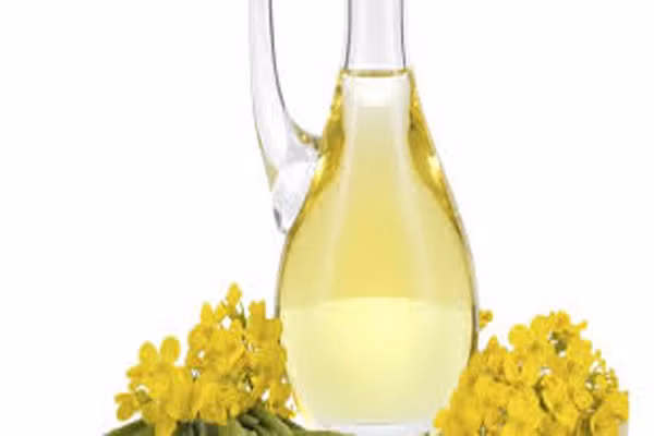 Glucose dư thừa được chuyển hóa trong cơ thể và được lưu trữ dưới dạng mỡ. Tiến sỹ về dinh dưỡng, ông Gary Taubes nói rằng "nếu thế giới chưa bao giờ phát minh ra thuốc lá, ung thư phổi sẽ là căn bệnh hiếm gặp. Tương tự như vậy, nếu chúng ta không có chế độ ăn uống carb cao, béo phì sẽ là một căn bệnh hiếm gặp". Vì vậy, đừng đổ hết tội lỗi lên đầu chất béo.