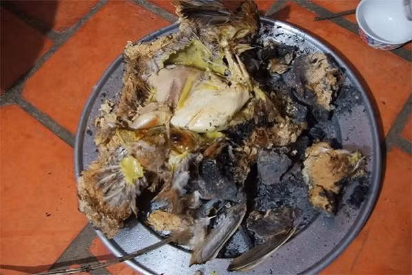 Sau khi nướng xong, bóc lớp đất tới đâu, lông gà dính theo tuột ra đến đó, để lộ phần da gà óng ả, thân gà tròn trơn mà thơm lừng hấp dẫn. Mùi thơm tỏa ra từ thịt gà và mùi vị đặc trưng riêng biệt từ đất sét khiến món ăn càng thêm phần lôi cuốn. (Ảnh: depplus.vn)