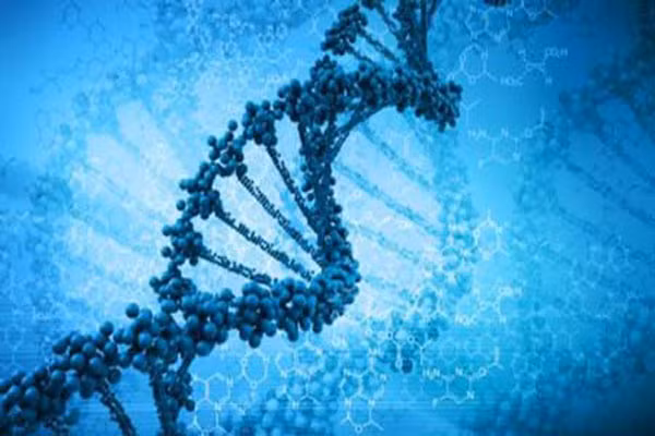 Theo đó, nếu nghi ngờ mình có thể bị ung thư, đầu tiên bạn cần xét nghiệm di truyền để sàng lọc gen đột biến BRCA.