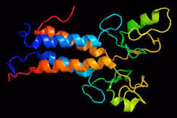 Thắt ống dẫn trứng và cắt bỏ tử cung để có thể làm giảm nguy cơ phát triển ung thư buồng trứng. BRCA1 và BRCA2 là gen giúp sửa chữa DNA hư hỏng trong các tế bào. Nếu bạn có một trong hai loại gen này đột biến thì có nghĩa rủi ro bệnh ung thư rất cao. Hãy lựa chọn liệu pháp thắt ống dẫn trứng và cắt bỏ tử cung có thể làm giảm nguy cơ phát triển ung thư buồng trứng.